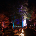 Experience the London Blues Festival with the Best Seating Options